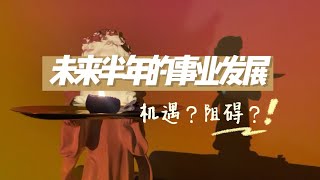 【CoCo塔罗】未来半年的事业发展？阻碍？机遇？建议？｜不限时间 不限性别