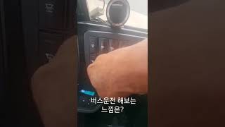 버스운전 하는 느낌은? #shorts #금호고속 #달리는거북이