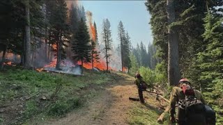 Idaho wildfires: Boulder, Lava fires merge in Valley County