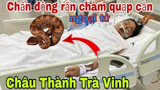 Cô Chơn 65t quét lá mai bị rắn cắn đang nghuy kịch