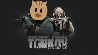 【タルコフ】はじめてのワイプ！初心者がkappa目指す！#30【Escape From Tarkov】