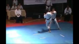 Karate Do Panamerican Championship ITKF 2013