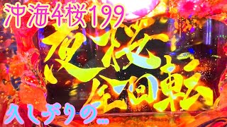 久しぶりの... 第41話 神龍のゆったりパチンコ実践 沖海4桜バージョン199