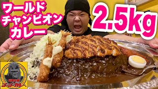 【大食い】ゴーゴーカレーのワールドチャンピオンカレーを爆食！！！