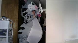 Surferbrg Short Inflatable Kitty Cat by Spooktacular Creations