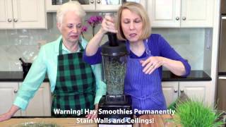 Extreme Dieters Club Yummy Hay Smoothie