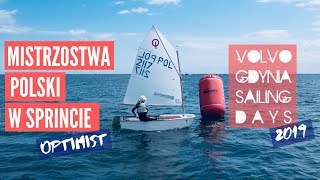 VGSD 2019 | Mistrzostwa Polski w Sprincie | klasa Optimist