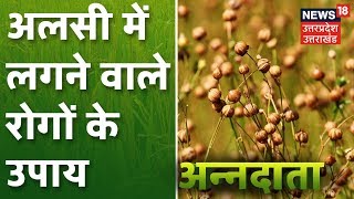 Annadata। Flaxseed Cultivation। जानिए अलसी की खेती के बारे में और रोगों पर नियंत्रण के उपाय