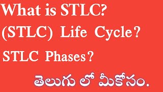 What is STLC Life Cycle? STLC Phase| Manual Testing Tutorial For Beginners| #Tech agent 2.0 #testing