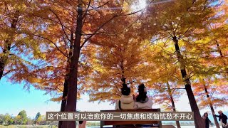 快出发，去丽江骑行逛吃找秋天~#日常vlog #生活碎片记录 #丽江