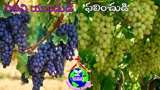 MZM MINISTRIES OFFICIAL  ఆదివారం ఆరాధన.  నిలిచి యుండుడి ఫలించుడి.2-7-23.  9440664203