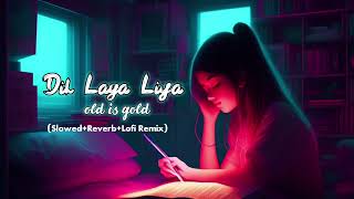dil laga liya | {slowed+reverb} | Hindi songs | lofi song || old is gold 🥰🥀