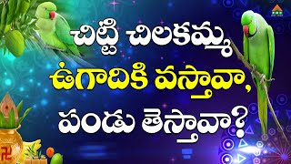 చిట్టి చిలకమ్మ ఉగాదికి వస్తావా, పండు తెస్తావా?Vasista gowthami Pyramid Peravaram Rajavaram konaseema