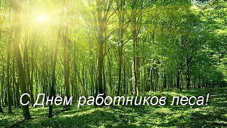 День работников леса