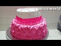 simple 2 tier cake recipe ഒരു അടിപൊളി 2 tier birthday കേക്ക് sanus world