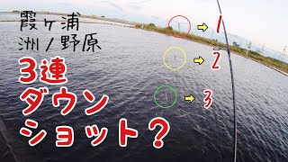 10章/第12話【洲ノ野原エリア/11月中旬/バス釣り/霞ヶ浦】雑誌に載ってる霞ヶ浦のバス釣りポイント全箇所で1本釣る伝説の企画！57話