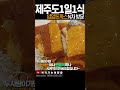 제주도 경양식 돈까스 맛집 얌얌돈까스