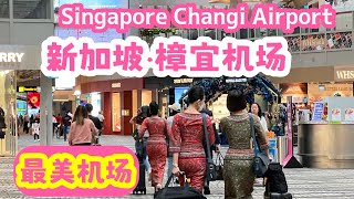 #最美机场 #新加坡 #樟宜机场Singapore Changi Airport。我見到的最美機場，花卉打造的室內園藝，座椅造型和色彩設計的優美感。#最美機場 #新加坡 #樟宜機場