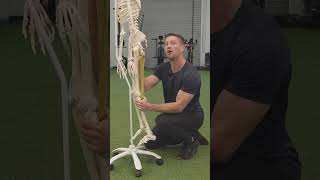The Secret To Fix Tight Hamstrings