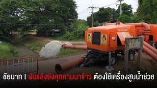 ฝนแล้งยังคุกคามนาข้าวที่ชัยนาท  ต้องใช้เครื่องสูบน้ำช่วย