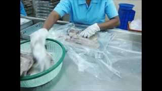 Aori-ika Processing ... by Joyce Issac of Butterworth Seafood