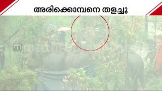 മിഷൻ അരിക്കൊമ്പൻ സക്‌സസ്; കൊമ്പനെ തളച്ച് ദൗത്യസംഘം | Mission Arikkomban