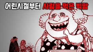 원피스 애니메이션 방영 직전 삭제된 충격적인 19금 설정