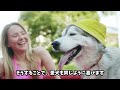 犬を最高に喜ばせる8つの方法｜いつも以上に愛犬を喜ばせよう！