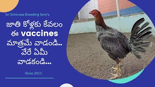 మీ కోళ్లకు కేవలం ఈ vaccines మాత్రమే వాడండి..... vaccination schedule on poultry farming