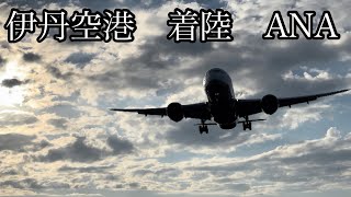 伊丹空港　千里川河川敷　ANA 着陸