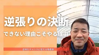 【苺農家】逆張りの決断　出来ない理由こそやる理由／逆境をチャンスに変える苺農家　武下浩紹（楽農ファームたけした）