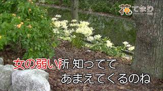 木村好夫　女だから　花のステージ650－319