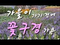 꽃구경 가기 좋은날|꽃멍 |나만의 시간#gardenflowers