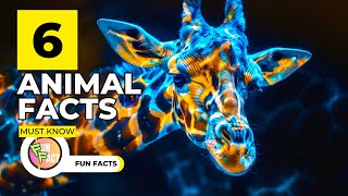 6 FUN ANIMAL FACTS !