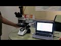 trinocular microscope description on sale