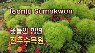 (4K)전주수목원, 함께 걸어요, 여름꽃들의 향연(Korea Highway Corporation Jeonju Botanic garden)