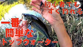 【バス釣り初心者】トップウォーター簡単ルアー動かし方 ~ワームスイミング~【370】虫くん釣りch