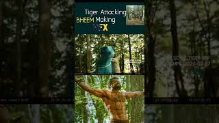 Tiger Attacking Bheem ఎన్టీఆర్ VFX Making #shorts #shortvideo #ntr #rrr #ssrajamouli #ramcharan