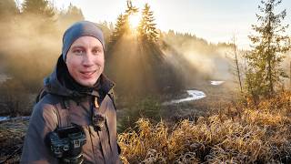 Magische Fotografie: Ein Traumbaum und Lichtspiele im Flusstal