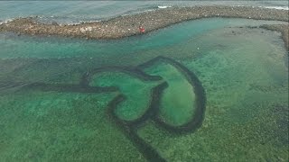 [婚紗側錄] 貫廷\u0026維理 澎湖婚紗錄影|外島婚禮紀錄