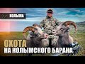 ТРОФЕЙНАЯ ОХОТА НА КОЛЫМЕ | КОЛЫМСКИЙ БАРАН | ЭКСПЕДИЦИЯ НА КОЛЫМУ