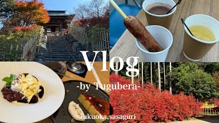 【vlog】福岡「呑山観音寺」の紅葉を満喫したあとカフェでのんびり過ごした日☕️と鯛焼き食べた2days 福岡/篠栗/紅葉狩り/カフェ