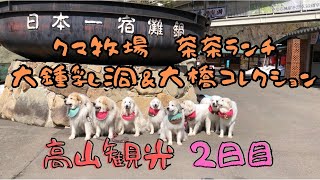 高山観光　恐活　2日目　飛騨の里　雷我と陽我　グレートピレニーズ