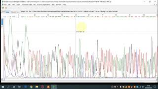 Tutorial para Edição de sequências no Bioedit