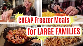 CHEAP Freezer Meals for LARGE Families | FILL YOUR FREEZER with 6 EASY Dinner FREEZER MEALS!