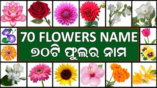 70 Flowers Name with Pictures in English to Odia || ୭୦ଟି ଫୁଲର ନାମ || Name of Flowers in English_Odia