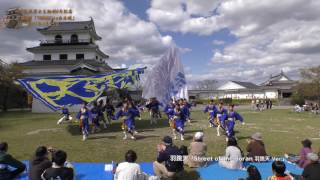 2017 第4回「YOSAKOI in 白石城」【羽跳天「Street of the Soran 羽跳天 Ver. 」】午後の部