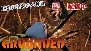 虫が強すぎて人権がないwww【GROUNDED】Part6 #実況 #grounded  #ゲーム配信