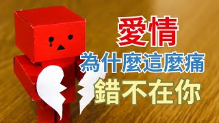 一种社会学解释：《爱，为什么痛》- 现代性下的爱与痛 Why Love Hurts: A Sociological Explanation