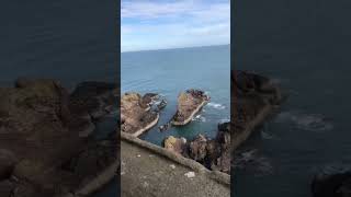 Dunnottar Castle #shorts #medieval #history #ruins #castle #strolling  #medievalhistory #walking